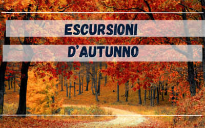 Escursioni d’autunno sul Delta del Po